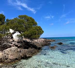 Playa Cala Agulla/ Cala Guya