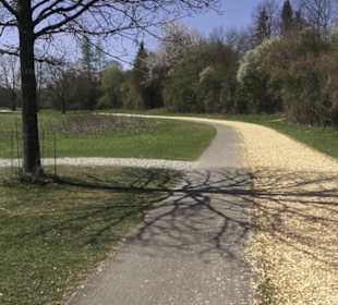 Sport- und Freizeitpark Markwasen
