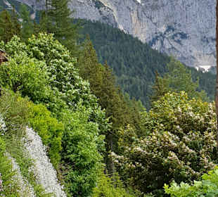 Wandern Ramsau am Dachstein