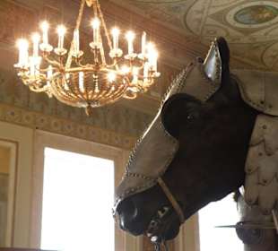 Cavallo