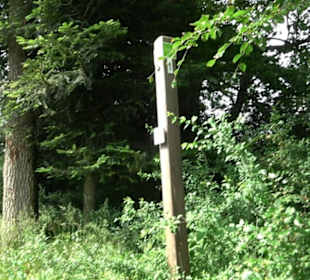 Premiumwanderweg "hochgehackert"