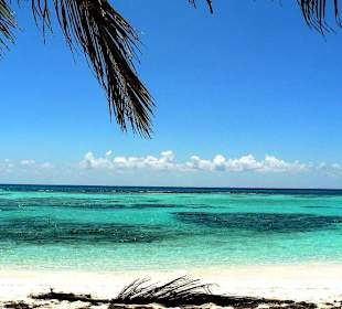 Ich möchte zurück...