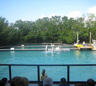Miami Seaquarium