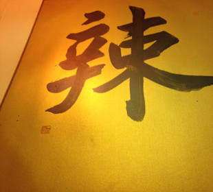 "spicy" in Chinese character