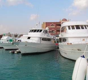 Anlegestelle für unser Delfinboot