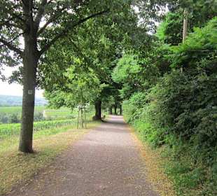 Auf dem Weg zur Walddusche