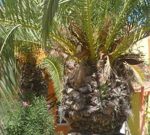 Piękna przyroda a trasie przejazdu