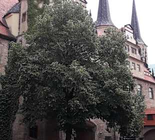 Schloss Merseburg