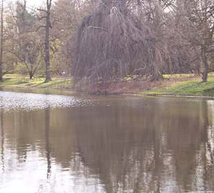 Łazienki Królewskie