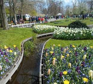 Blumenpracht im Keukenhof