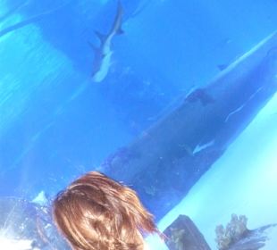 Röhren Aquarium Antalya 