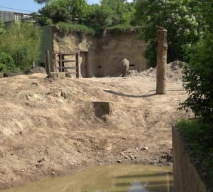 Zoo Heidelberg