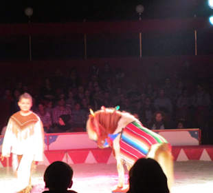 Landauer Weihnachtscircus 2015