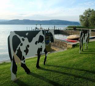 Direkt am See