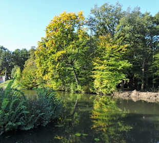 Herbst im Bremer Bürgerpark