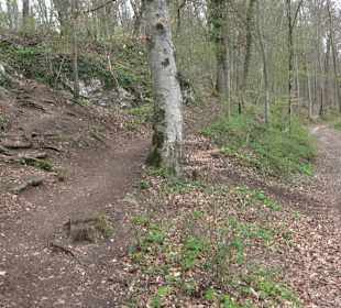 Wanderung rund um das Rusenschloss Gerhausen