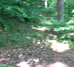 Premiumwanderweg "hochgelegen"