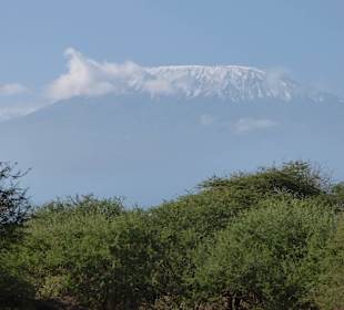 Amboseli