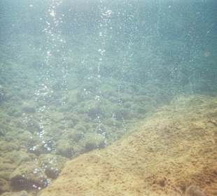 Schwefelgas-Bläschen / Dominica