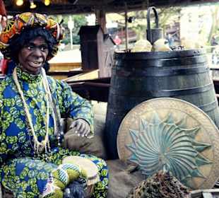 Europapark im Winter