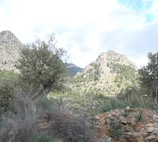 Unterwegs auf Mallorca