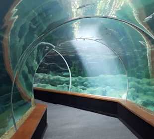 Aquarium