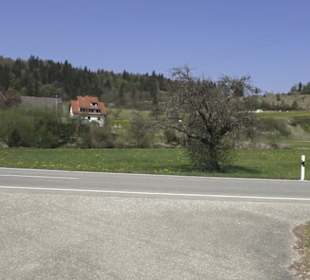 Waldlehrpfad an der Lauter