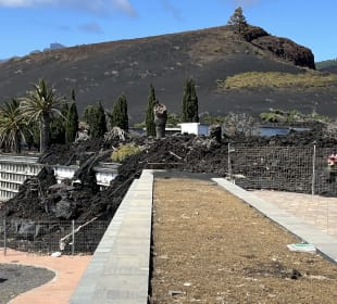 Mögen sie in Zukunft in Frieden ruhen!