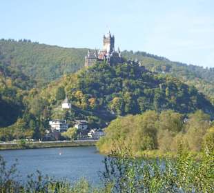 Gegend um Weingut Thesen/Schweich