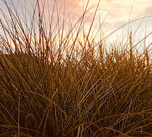 Wandern Techendorf