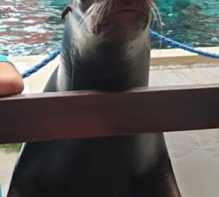 Allwetterzoo Münster