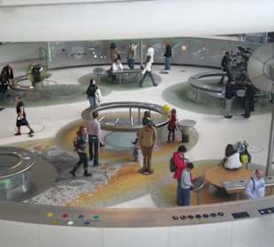 American Muzeum of Natural History