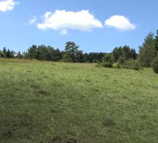 Naturerlebnispfad Sternberg