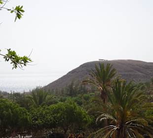 Kamel- Karawane in der Ferne