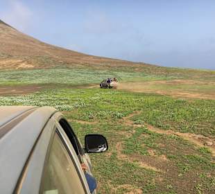 Über Stock und Stein
