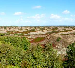 Strand Spiekeroog