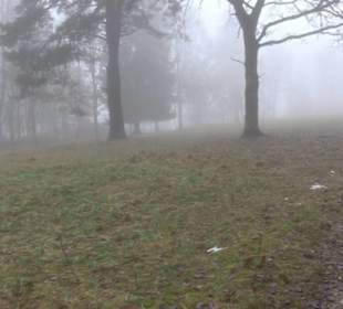 Wasser & Klang Pfad in Auernheim