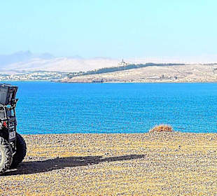 Chilling View in La Lajita