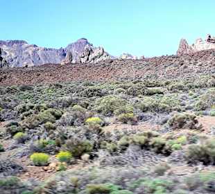 Teide Nationalpark