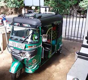 Elefantenreiten Sigiriya