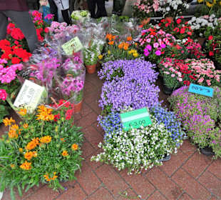 Eindrücke vom Wochenmarkt Nuoro