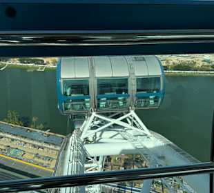 Singapore Flyer