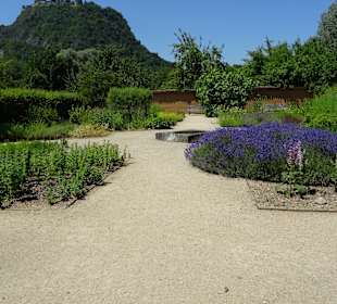 Schaffhauser Kräutergarten