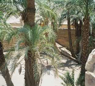 Hathor Tempel Dendera