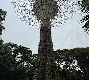 Gardens by the Bay