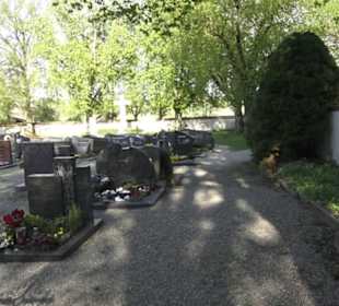 Friedhof