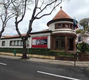Blick auf den Museumsbau