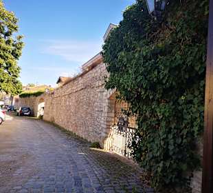 Wandern Dietfurt an der Altmühl