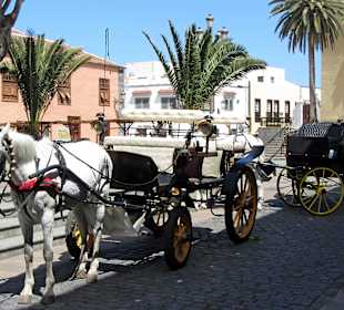 Droschken auf der Plaza