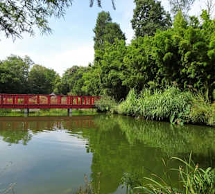 Teichlandschaft im Jardin des Plantes